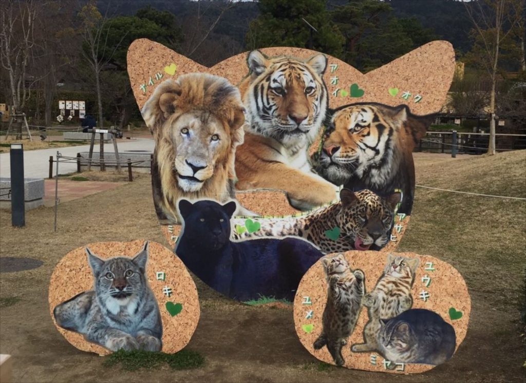 京都動物園の可愛いパネル